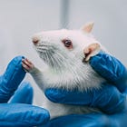 Part Two: Inside Dr. Campbell’s Lab