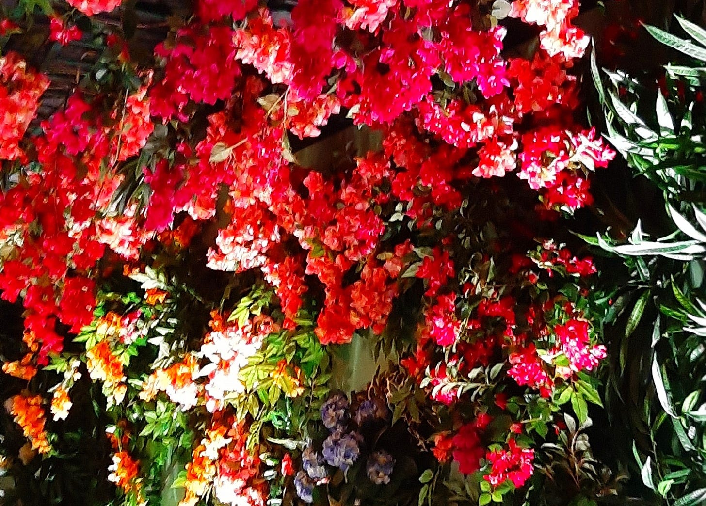 Creating Energies - The Creatrix Experience podcast ©2026 Elizabeth des Roches