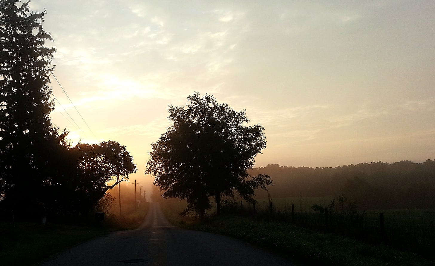 Foggy Morning