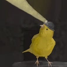 Canaries in the Coal Mine