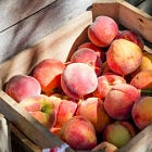 You will not be for everyone