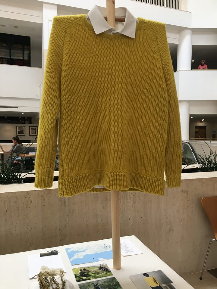 Photos that show the work the Phoebe English studio has done to support bioregional fibre production. A naturally-dyed weld jumper knitted using biodynamically-farmed British wool is on show alongside textile samples and plants..