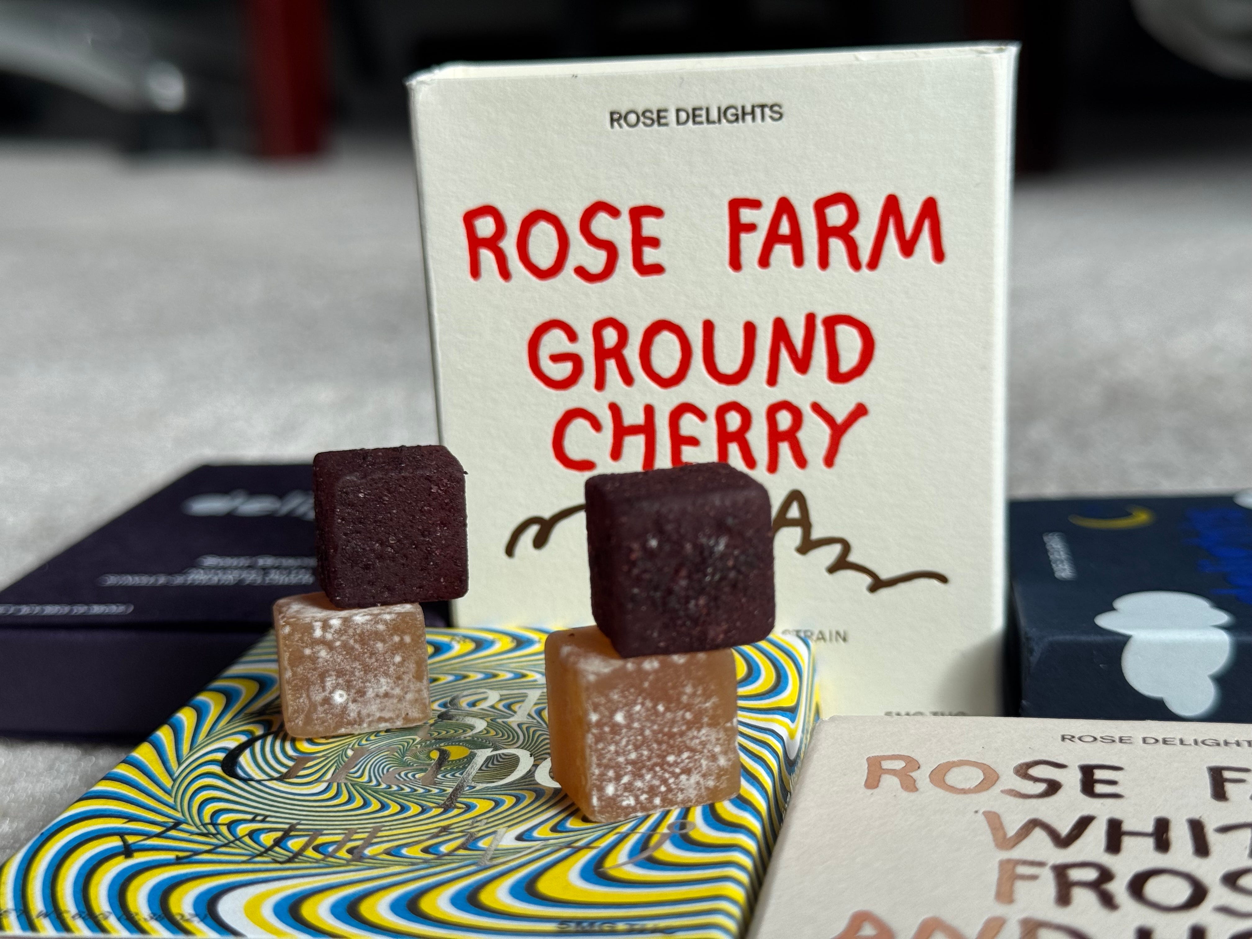 Rose Los Angeles: The Definitive Re-Review - by ryan sutton