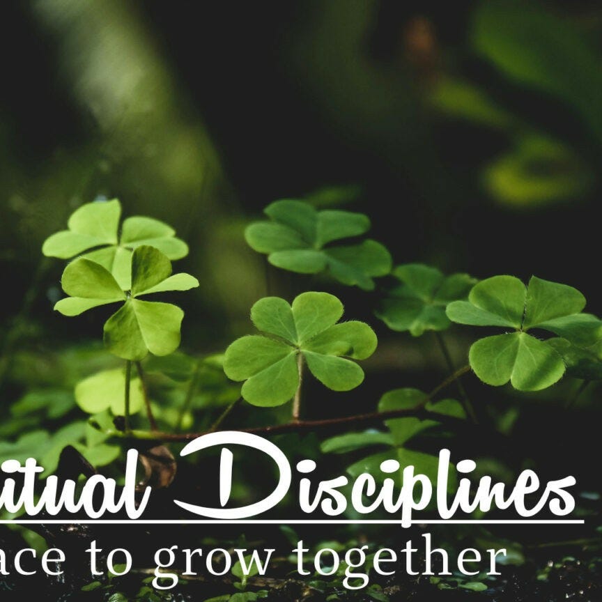 Practical Disciplines for Spiritual Development logo