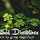 Practical Disciplines for Spiritual Development