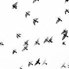 I Don't Want to Be 'Safe'. I Want to Be Whole.