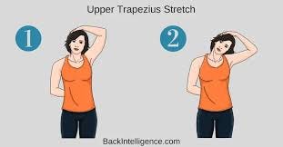 Upper Back Stretches For Back Pain Relief