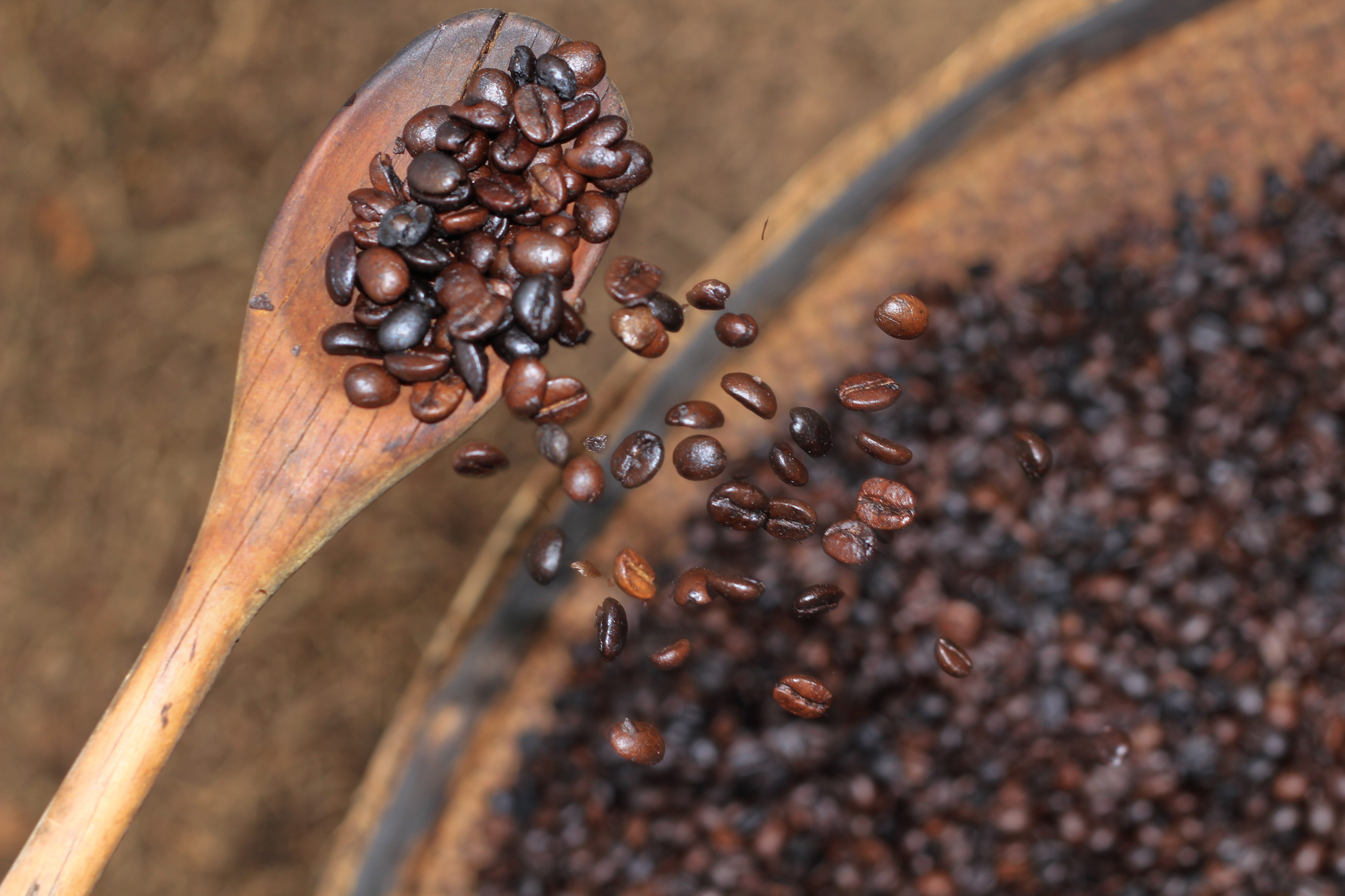 Image Coffee Coffee Culture Boom in Southeast Asia Explained