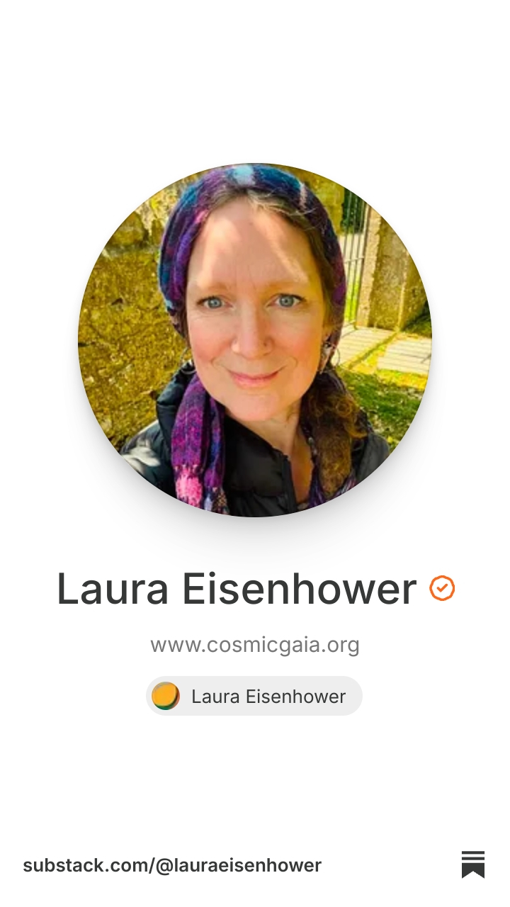 Laura Eisenhower | Substack