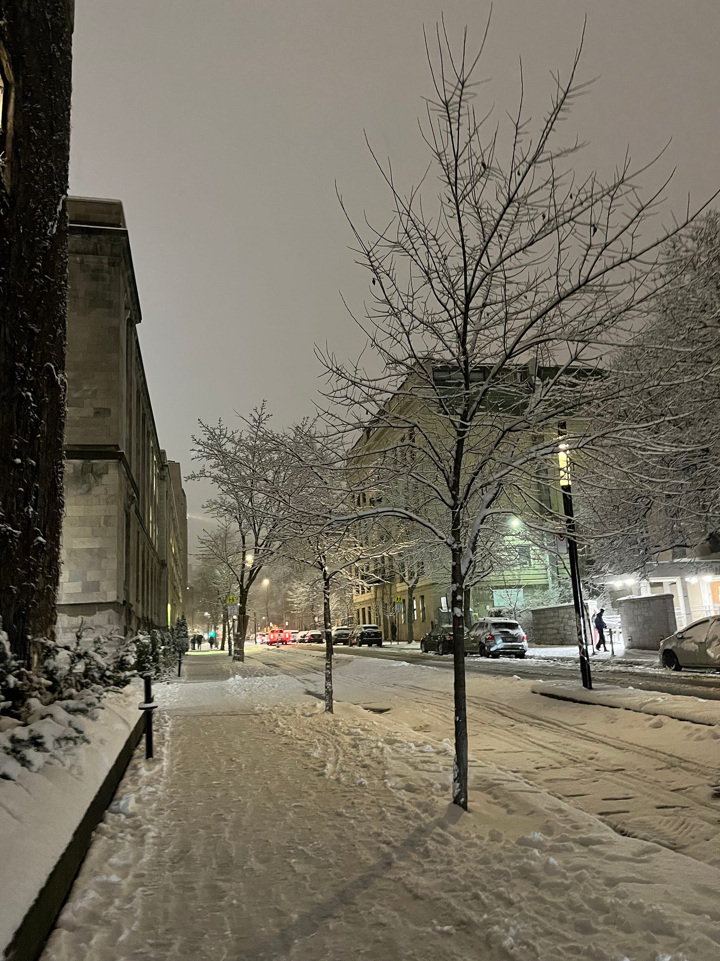 View of University Street in Montreal, looking towards Des Pins, just after a light snow. A few small trees are coated in snow and the ground has a thin layer of snow that is riddled with footprints.