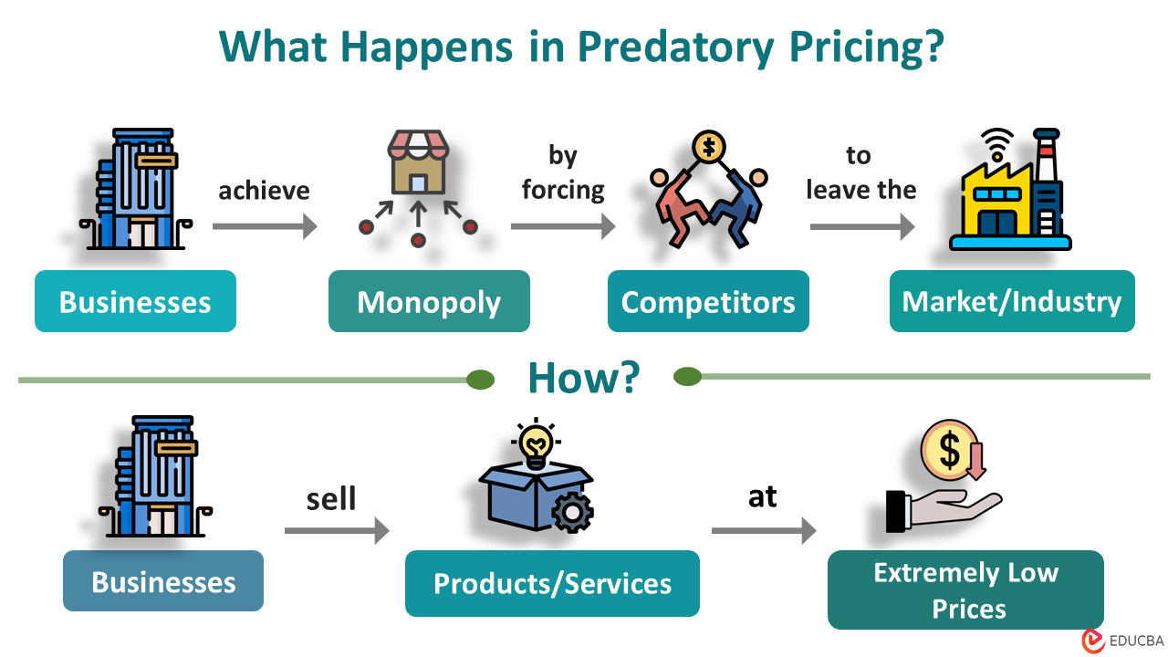 What is Predatory Pricing? Examples & Diagram | Vs. Limit Pricing