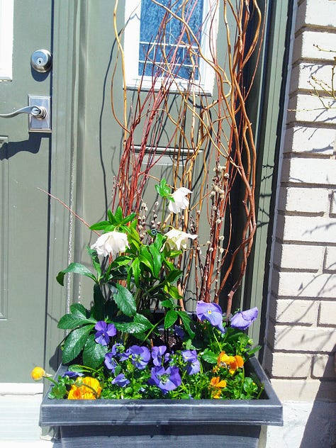 Colourful front planters for spring