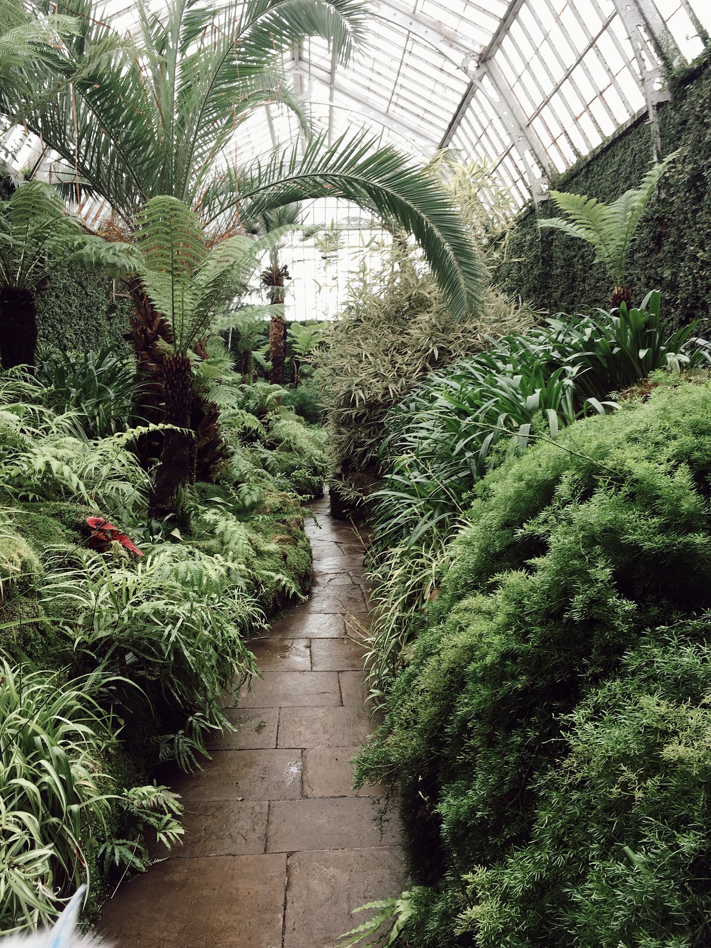 palm house at tatton park writing and editing susan earlam