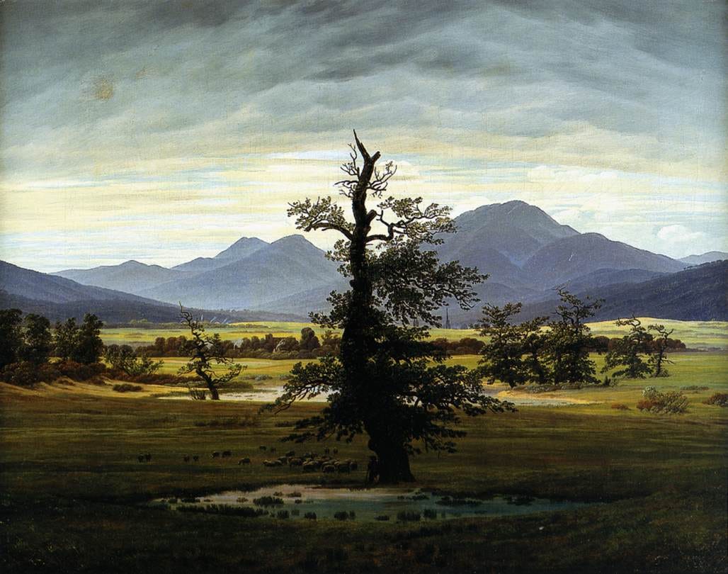 A single battered old oak stands alone in a wide valley under a soft morning sky A single battered old oak stands alone in a wide valley under a soft morning sky