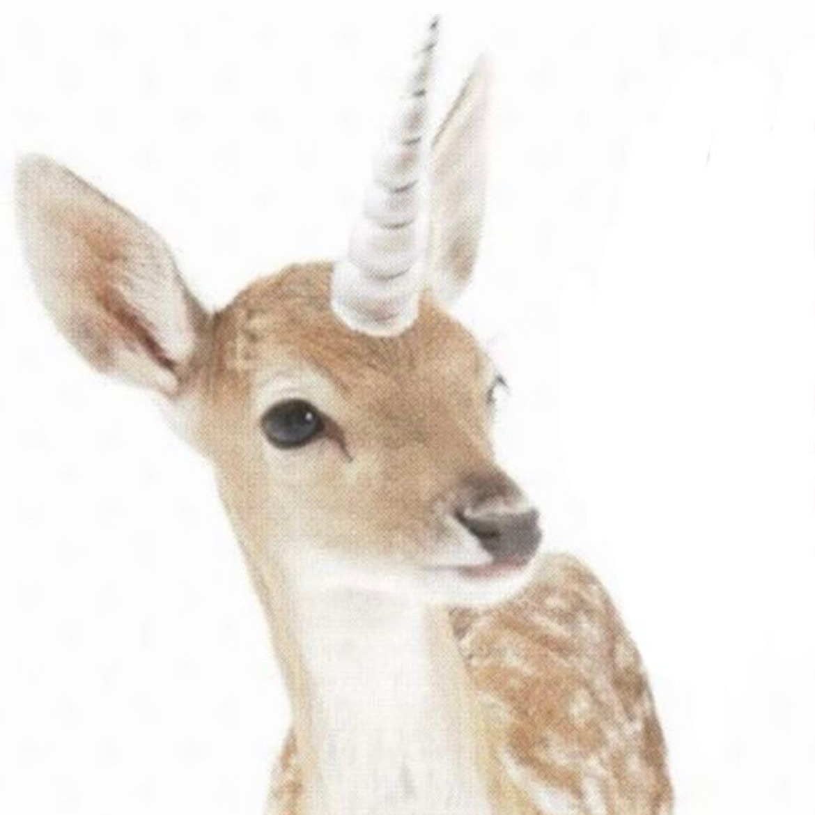 ANGELIC AFFIRMATIONS