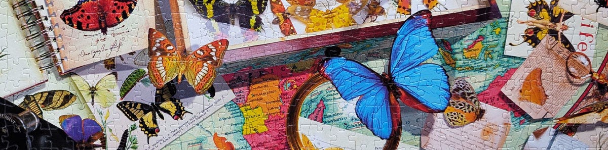 Buffalo Games Butterfly Collector Jigsaw Puzzle