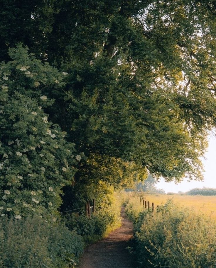 Despite this image having nothing to do with this article, it makes me feel calm. So hopefully it does the same for you! Despite this image having nothing to do with this article, it makes me feel calm. So hopefully it does the same for you!