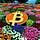 CryptoPH Community