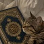LETTERS FROM QURAN's avatar