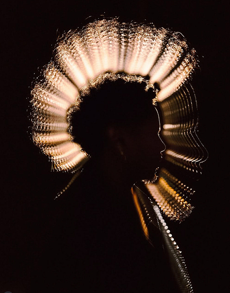 Linus and His câmera