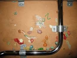 I hate it when i accidentally touch chewing gum under the table 的个人主页