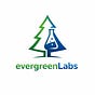 Evergreen Labs's avatar