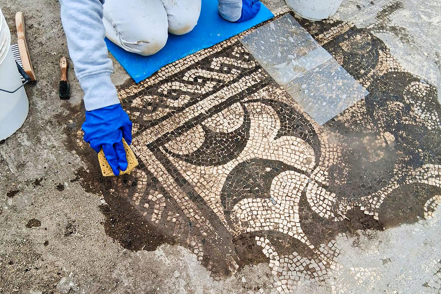 Detail of mosaics. Credit: Ministero della Cultura Detail of mosaics. Credit: Ministero della Cultura