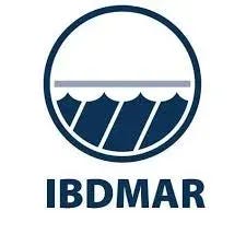 O Substack de ibdmar_bilos