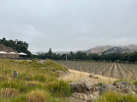 Napa Valley