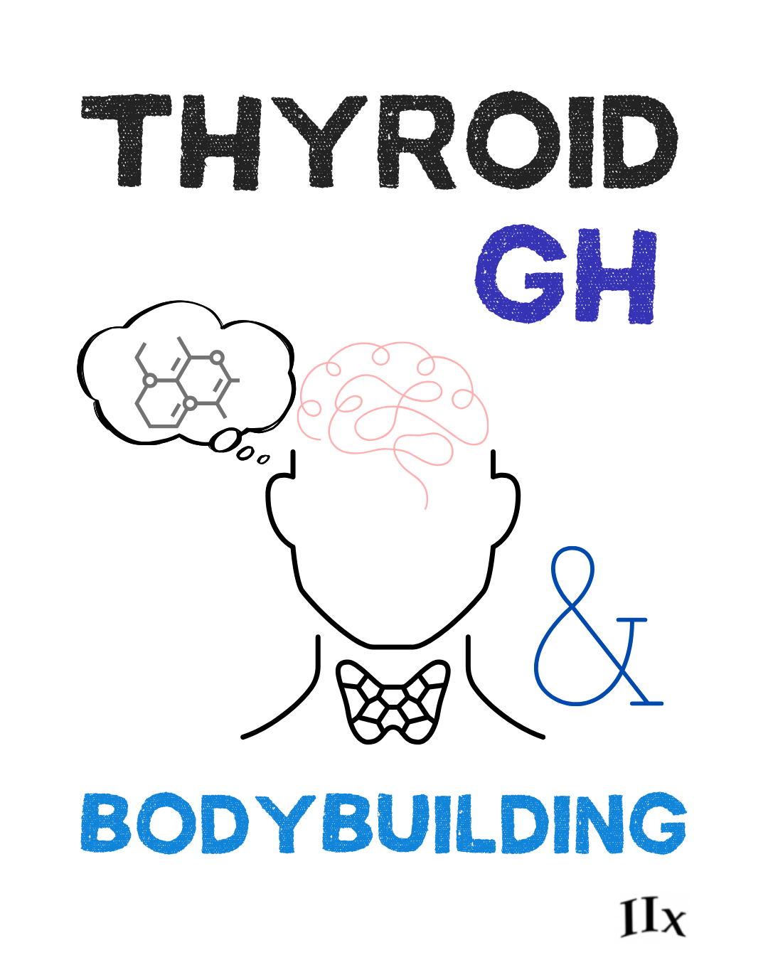 A figure of a person thinking about growth hormone's peptide structure with a visible thyroid gland and brain