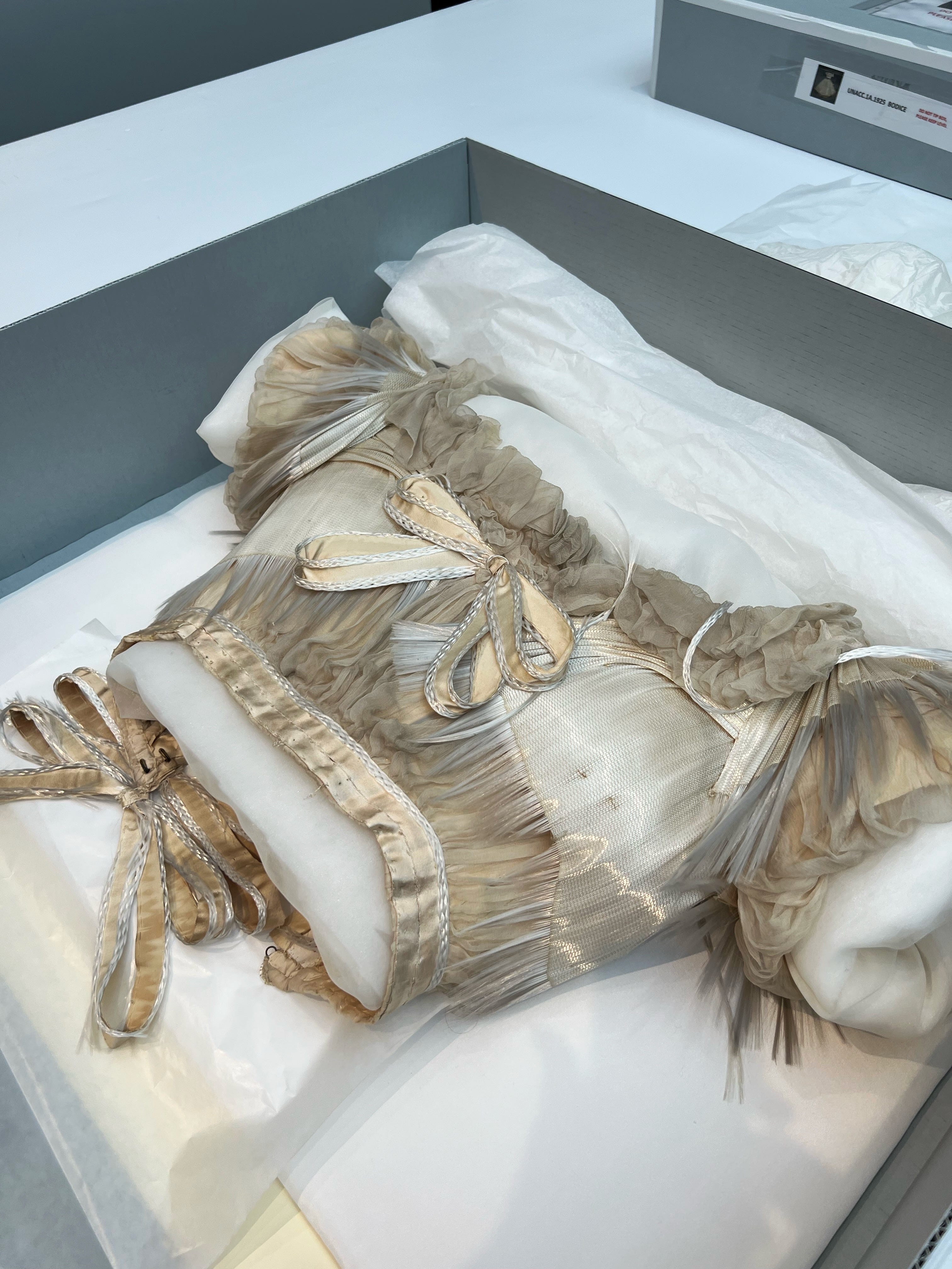 The World's Only Spun Glass Dress - by Lynn Byrne