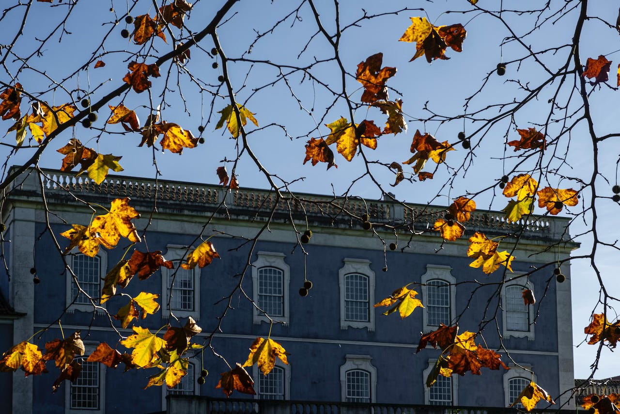 A blue façade of the palace is seen behind a web of branches with autumn leaves, Palácio Nacional de Queluz