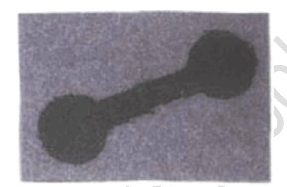 No photo description available.