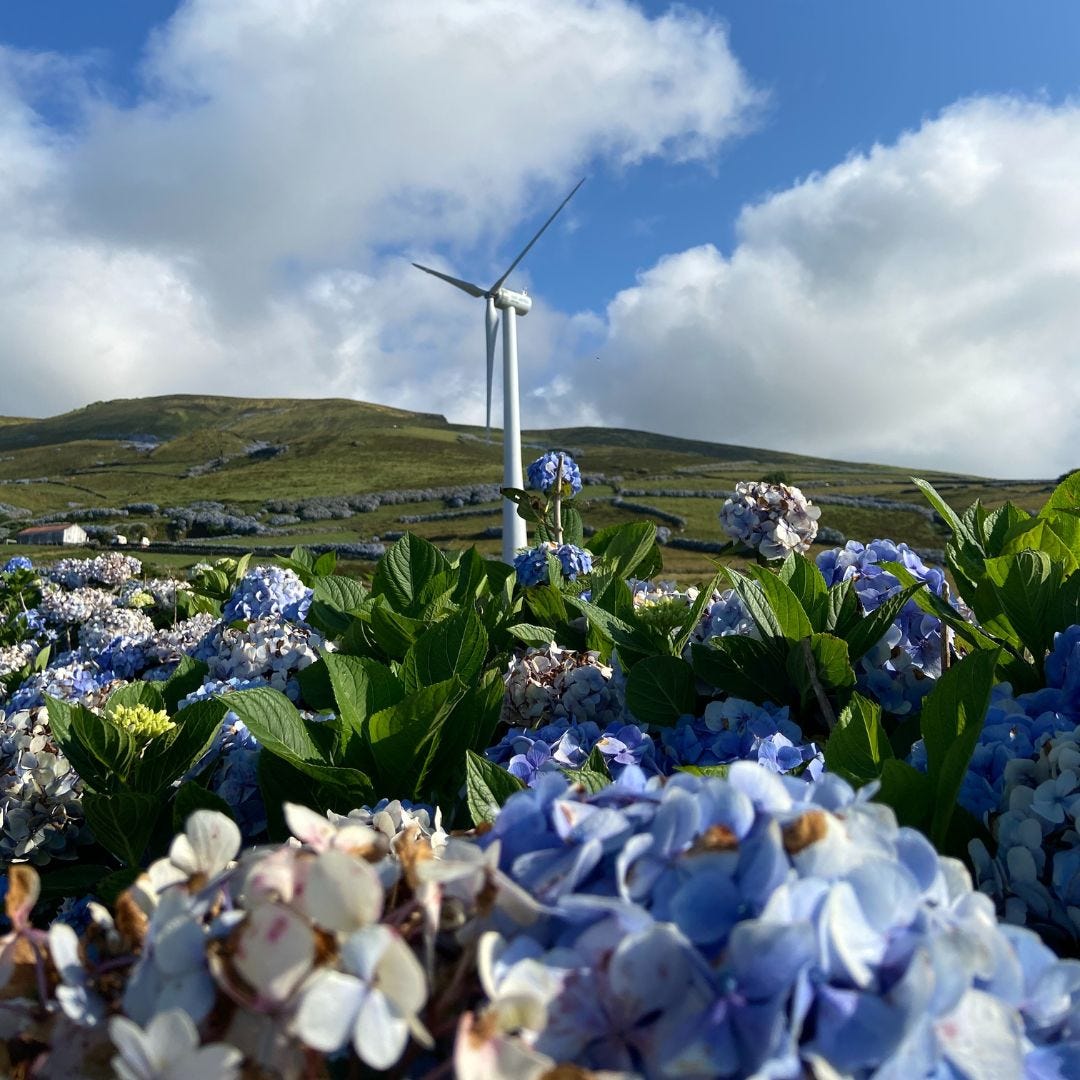 No hay descripción alternativa para esta imagen