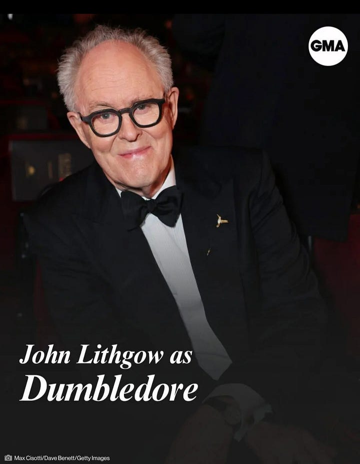 Major Roles in new Harry Potter TV series