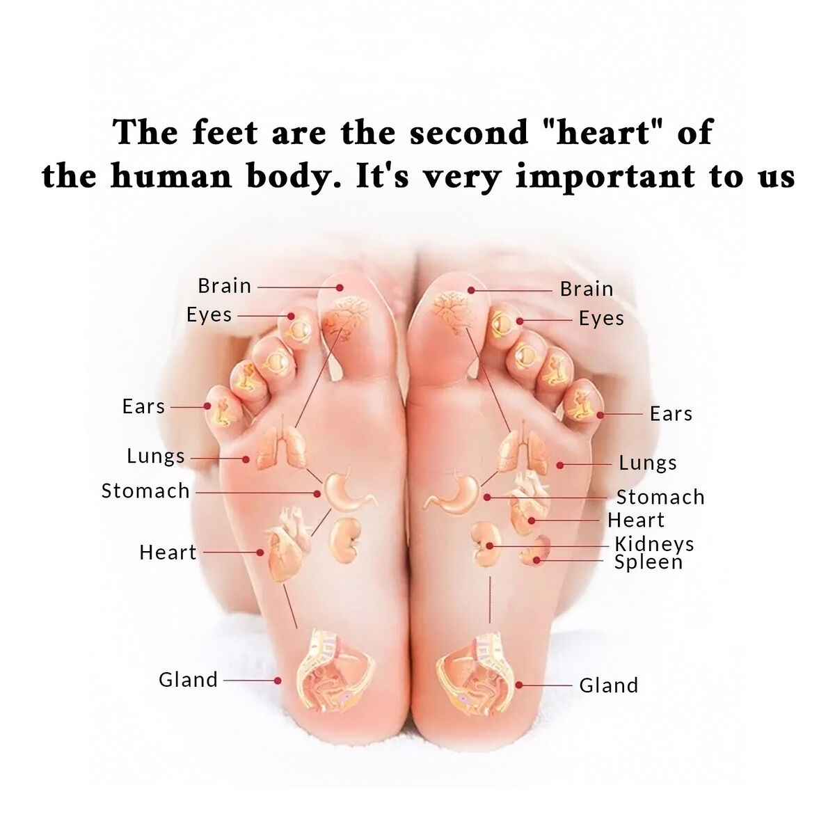 New Foot Massager Leg Promoting Blood Circulation Device Muscle Stimulator  | eBay