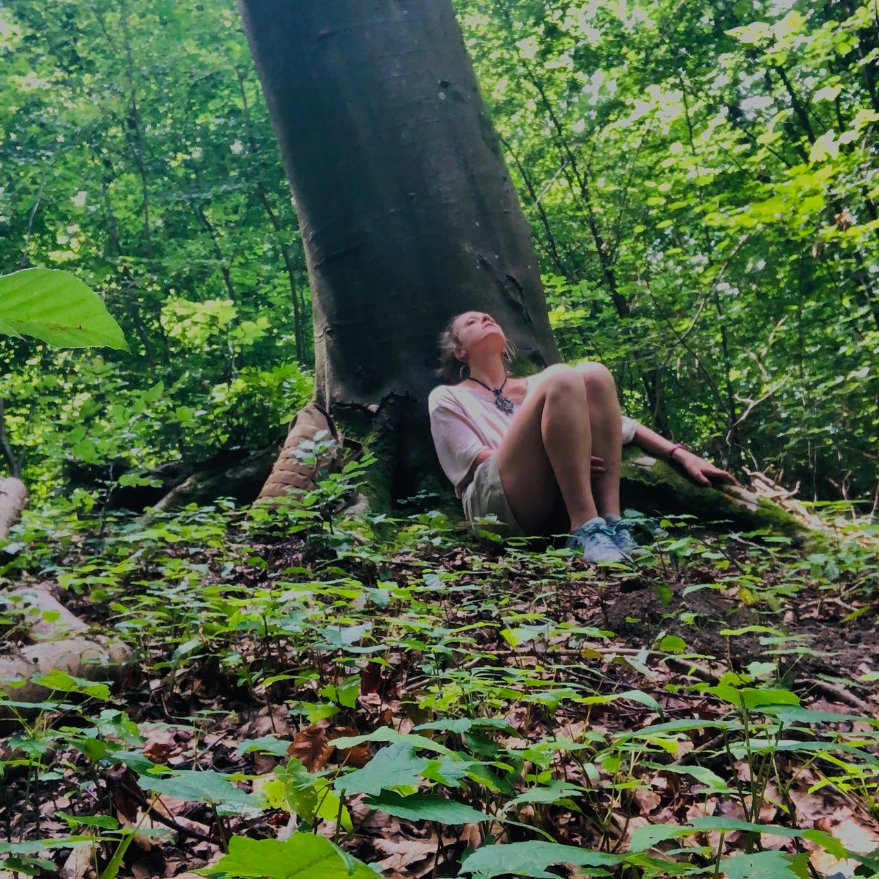 Millicent’s Substack