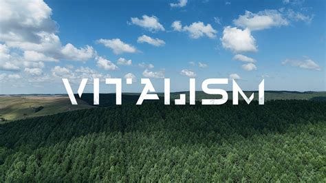 VITALISM | TRIBUS | OFFICIAL MUSIC VIDEO - YouTube