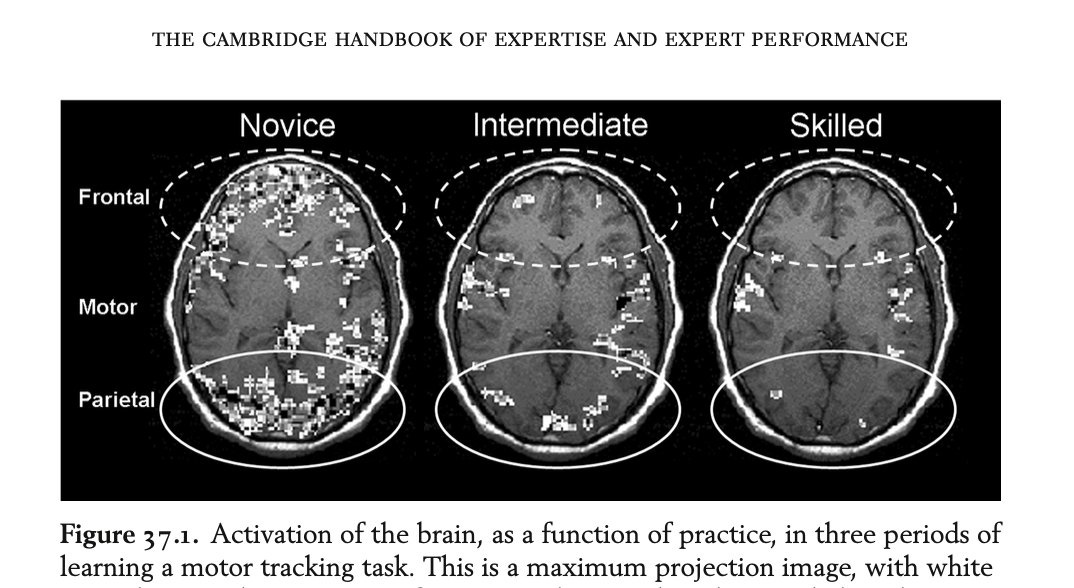 Three brain scans labeled Novice, Intermediate, and Skilled, showing white activation patterns in the frontal, motor, and parietal regions. Each scan depicts varying levels of brain activity, with the Novice scan showing the most activity and the Skilled scan showing the least.