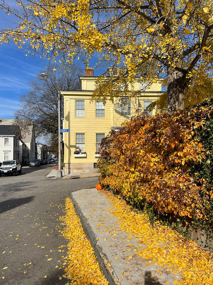 Footage of me enjoying the autumnal loveliness of Newport