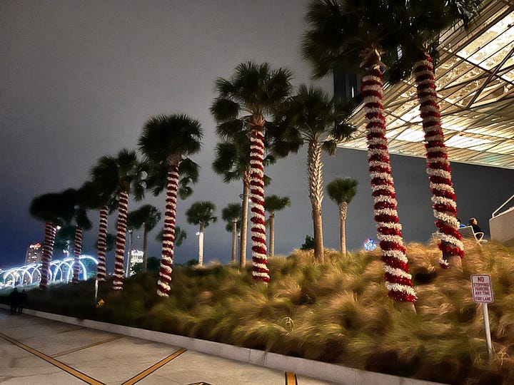 christmas, palm trees, christmas trees, wreath, decorations