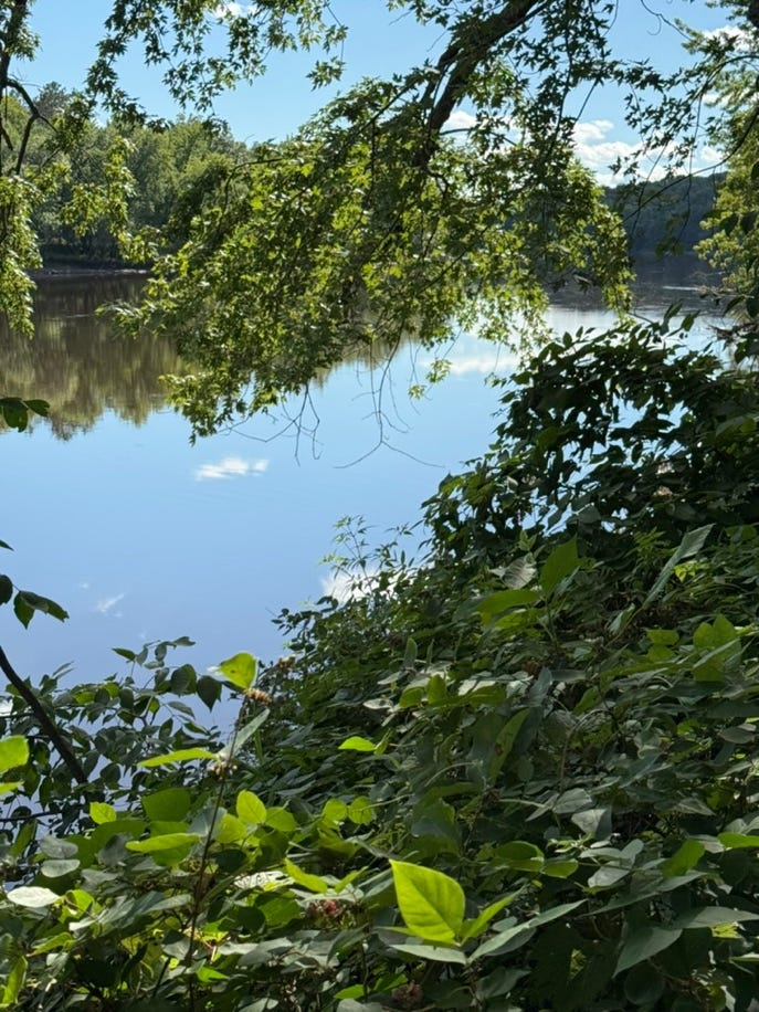 A river with trees and a blue sky

AI-generated content may be incorrect.