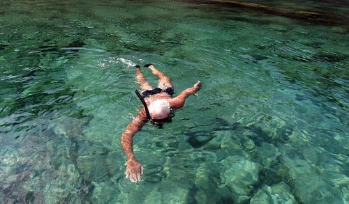 Swimmer Swimmer