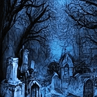 The Fertile Grounds of Decay