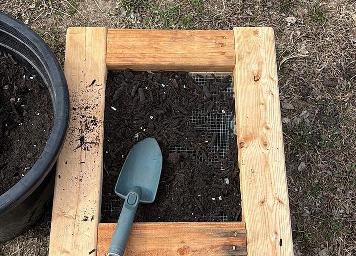 Preparing soil blocking mix by screening coarse materials and adding water to achieve a play-dough consistency for starting peppers from seed.