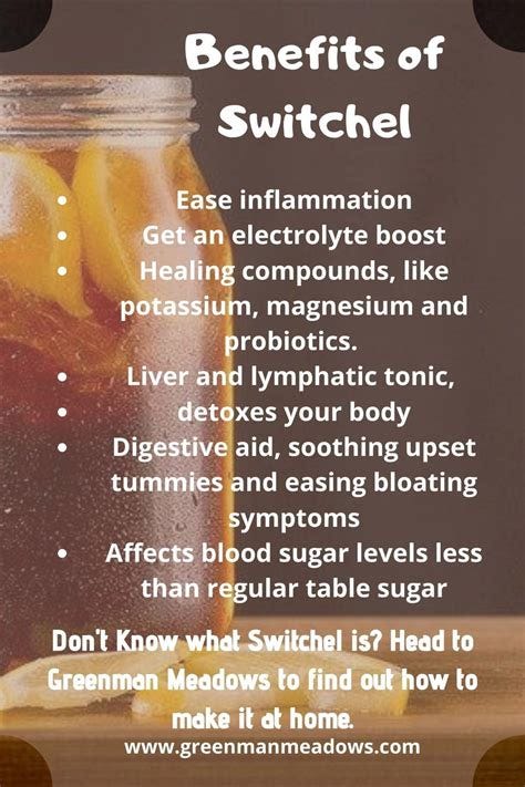 How to make traditional switchel haymaker s punch - Artofit How to make traditional switchel haymaker s punch - Artofit