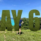 Survivor Holiday - Mana Island Resort