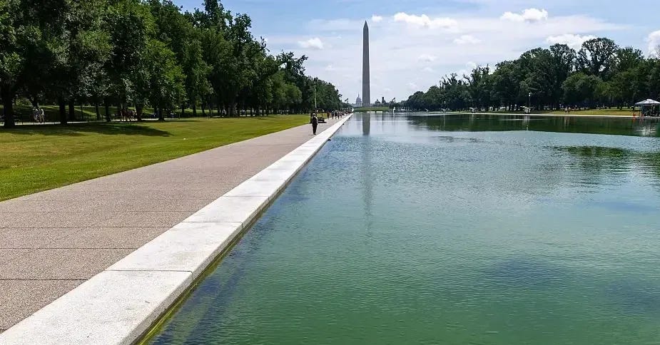 Trump's $14M reflecting pool overhaul turns green within days