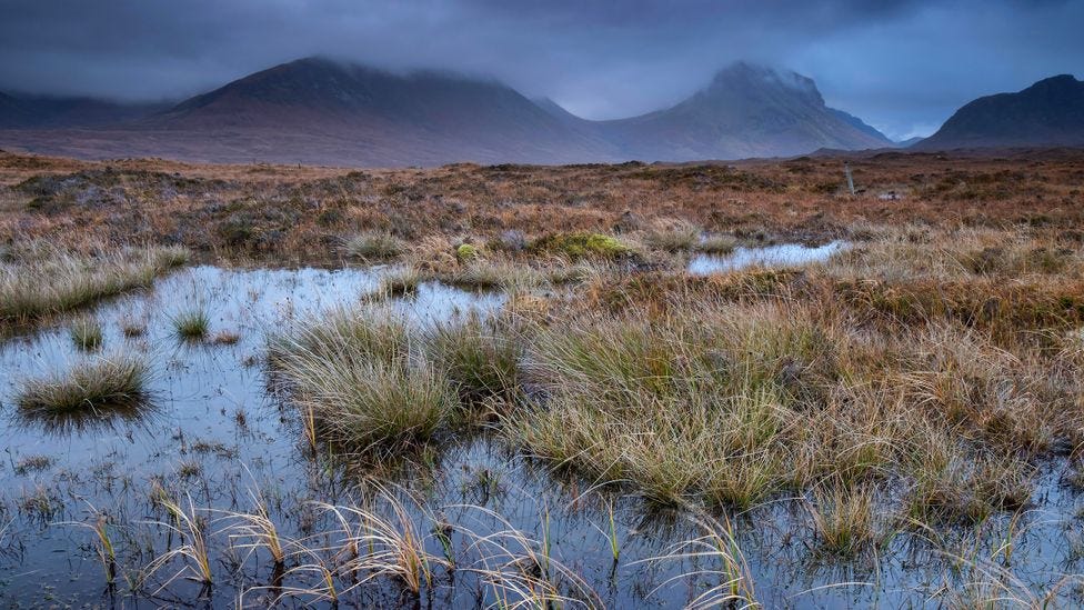 The mystery of the human sacrifices buried in Europe's bogs ...