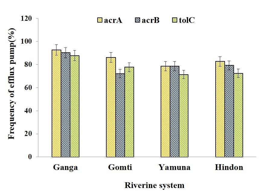 G:\Picture3.jpg